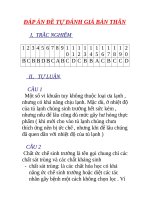 ĐÁP án đề tự ĐÁNH GIÁ bản THÂN