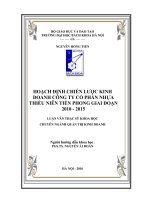 Hoạch định chiến lược phát triển kinh doanh công ty cổ phần nhựa thiếu niên tiền phong giai đoạn 2010   2015