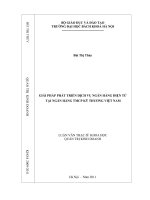 Giải pháp phát triển dịch vụ ngân hàng điện tử tại ngân hàng TMCP kỹ thương việt nam 