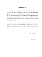 Nghiên cứu tiềm năng sử dụng công nghệ khí hóa trấu để cung cấp năng lượng 