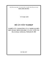 NGHIÊN CỨU ẢNH HƯỞNG CỦA CADIMI (Cd) ĐẾN MỘT SỐ ĐẶC ĐIỂM SINH HỌC CỦA ỐC VƯỜN NÂU Macrochlamys nitidissima, Mollendorff, 1883