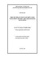Một số thuật toán phân cụm mờ và bài toán phân tích dữ liệu khách hàng ngân hàng 