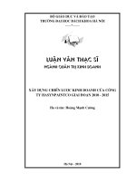 Xây dựng chiến lược kinh doanh của công ty hasynpaintco giai đoạn 2010   2015 
