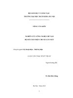 Nghiên cứu công nghệ chế tạo bộ dây dẫn điện cho xe gắn máy 