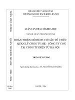 Hoàn thiện mô hình cơ cấu tổ chức quản lý công ty mẹ   công ty con tại công ty điện tử hà nội 
