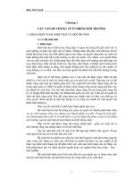 Giáo trình Ô nhiễm môi trường Biện Văn Tranh Trường Cao đẳng Tài nguyên và Môi trường Tp.HCM 2010