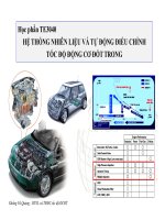 hệ thống nhiên liệu động cơ xăng