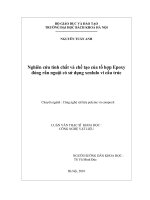 Nghiên cứu tính chất và chế tạo của tổ hợp epoxy đóng rắn nguội có sử dụng xenlulo vi cấu trúc 