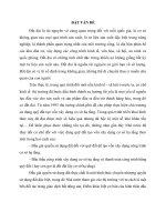 BÁO cáo THỰC tập tốt NGHIỆP công tác đấu giá quyền sử dụng đất tại Huyện Mỹ Lộc tỉnh Nam Định
