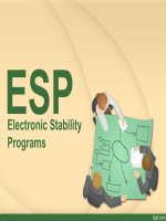 slide về hệ thống cân bằng điện tử ESP