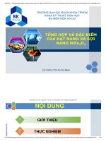 Tổng hợp và đặc điểm tính chất của hạt nano và sợi nano nife2o4