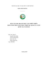 BÁO CÁO THU HOẠCH THỰC TẬP THIÊN NHIÊN PHÂN TÍCH TIỀM NĂNG PHÁT TRIỂN DU LỊCH CỦA VƯỜN QUỐC GIA TAM ĐẢO