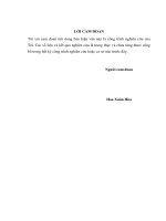 Chế tạo hợp kim titan xốp ứng dụng làm vật liệu cấy ghép 