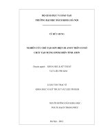 Nghiên cứu chế tạo sơn điện di anot trên cơ sở chất tạo màng epoxy biến tính amin 