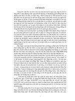 Tự do hoá trong eu và khả năng thâm nhập thị trường EU của hàng hoá Việt Nam