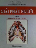 giáo trình giải phẫu người tập 2 trịnh văn minh