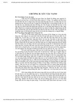 Tiểu luận xúc tác nano