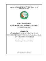 TÊN ĐỀ TÀI: ĐÁNH GIÁ KHẢ NĂNG XỬ LÝ ĐỒNG VÀ CHÌ  TRONG ĐẤTBẰNG CỎ VETIVER (Vetiveria Zizanioides L)   QUY MÔ PHÒNG THÍ NGHIỆM