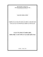 Nghiên cứu các nguyên nhân gây hỏng và phá hủy kim loại tại vùng tâm trong quá trình nêm ngang 