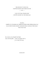 Nghiên cứu ổn định các thông số công nghệ chính nhằm tạo ra lỗ xốp có kích thước nano để nâng cao hoạt tính than trấu việt nam 
