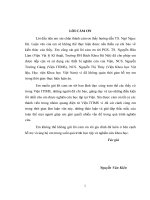 Nghiên cứu chế tạo và khảo sát tính chất vật lý của dây nano si bằng phương pháp bốc bay nhiệt 