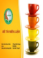 BIẾN ĐỔI KHÍ HẬU ẢNH HƯỞNG ĐẾN NƯỚC BIỂN DÂNG Ở VIỆT NAM