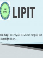 Slide bài giảng Lipit