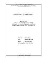 Cơ cấu tổ chức và hoạt động của ban công an xã hoằng trường, huyện hoằng hóa, tỉnh thanh hóa 
