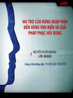 SLIDE VAI TRÒ CỦA RỪNG NGẬP MẶN ĐẾN VÙNG VEN BIỂN VÀ GIẢI PHÁP PHỤC HỒI RỪNG