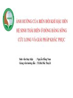 SLIDE  ẢNH HƯỞNG CỦA BIẾN ĐỔI KHÍ HẬU ĐẾN HỆ SINH THÁI BIỂN Ở ĐỒNG BẰNG SÔNG CỬU LONG VÀ GIẢI PHÁP KHẮC PHỤC