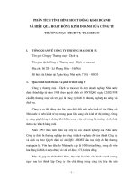 Phân tích tình hình hoạt động kinh doanh và hiệu quả hoạt động kinh doanh của công ty thương mại  Dịch vụ traserco