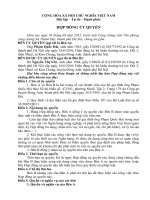 Mẫu Hợp Đồng Ủy Quyền