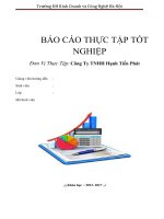 Báo cáo thực tập công ty thương mại công ty Hạnh tiến Phát