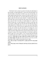 Hoàn thiện việc lập và phân tích hệ thống các báo cáo tài chính trong các doanh nghiệp Việt nam