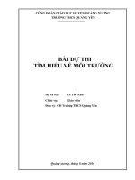CAU HOI  VA DAP AN CUOC THI TIM HIEU VE MOI TRUONG2012