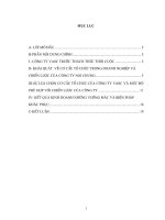 Việc lựa chọn cơ cấu tổ chức và mức độ phù hợp của cơ cấu tổ chứ với chiến lược mà công ty phần mềm và truyền thông VASC theo đuổi