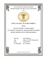 Cơ cấu tổ chức và hoạt động của trung tâm dân số   kế hoạch hóa gia đình huyện thường xuân, tỉnh thanh hóa (2) 