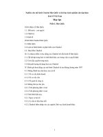 Nghiên cứu mô hình chaebol hàn quốc và bài học kinh nghiệm cho tập đoàn kinh tế Việt Nam