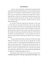 Mô hình tổ chức kinh tế nhà nước ở Việt Nam trong nền kinh tế thị trường