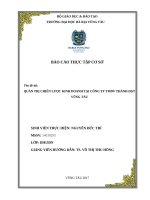 QUẢN TRỊ CHIẾN lược KINH DOANH tại CÔNG TY TMDV THÀNH đạt VŨNG tàu 