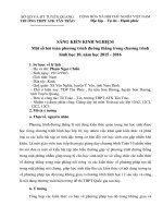 Sáng Kiến kinh nghiệm  phương trình đường thẳng lớp 10