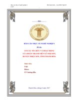 Cơ cấu tổ chức và hoạt động của đoàn thanh niên xã thọ sơn, huyện triệu sơn, tỉnh thanh hóa 