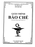 GIAO TRINH BAO CHE TRUONG CAO DANG Y TE BINH DINH