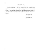 Kiểm toán khoản mục DTBHCCDV trong kiểm toán Báo cáo tài chính do Công ty TNHH Kiểm toán và Định giá AAFC thực hiện