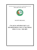ỨNG DỤNG MÔ HÌNH THỦY LỰC  MÔ PHỎNG DÒNG CHẢY LŨ HỆ THỐNG SÔNG VU GIA  THU BỒN