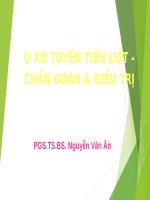 U xơ tuyến tiền liệt  ppt