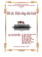 Hiệu ứng nhà kính nguyên nhân, tác động đến môi trường