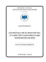Giải pháp hạn chế dự định nghỉ việc của nhân viên tại Bảo hiểm xã hội Thành Phố Hồ Chí Minh
