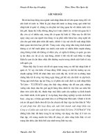 Một số giải pháp thúc đẩy hoạt động sản xuất kinh doanh xuất nhập khẩu của công ty cổ phần sản xuất dịch vụ xuất nhập khẩu Từ Liêm  Tultraco