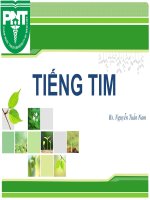 Nghe tiếng tim sinh lý và bệnh lý